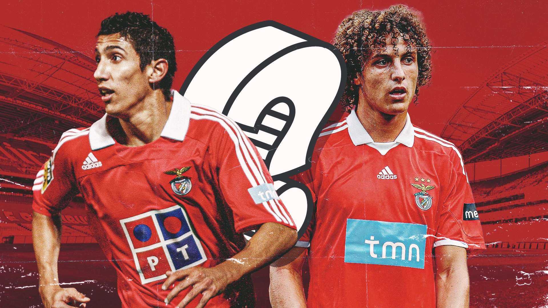 不仅属于球 不仅属于球